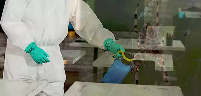 Why Buyers Still Want Homes With Pest Infestations in South Carolina, SC?