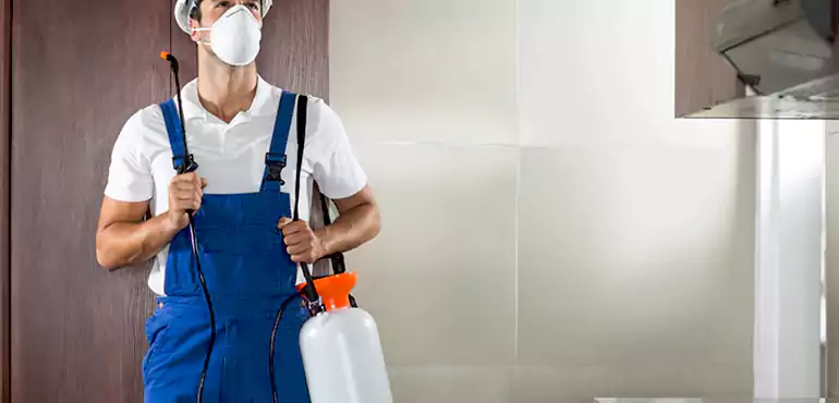 Why South Carolina Homeowners Choose Us When Pests Make Selling Difficult