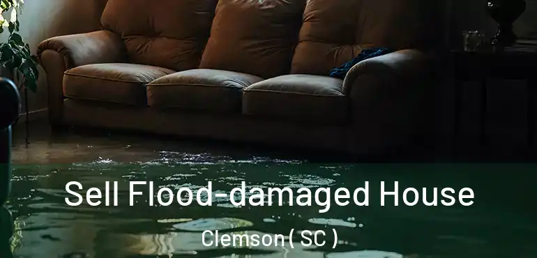  Sell Flood-damaged House Clemson ( SC )