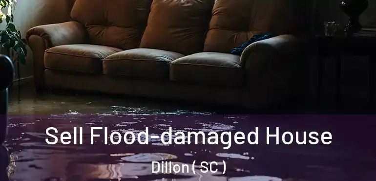  Sell Flood-damaged House Dillon ( SC )