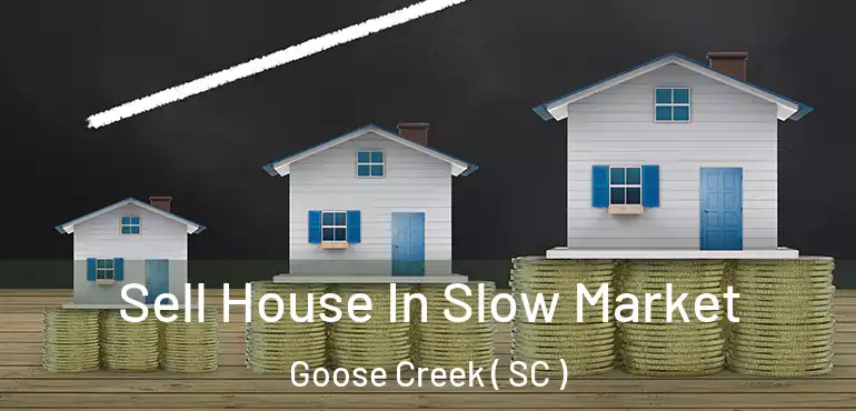  Sell House In Slow Market Goose Creek ( SC )