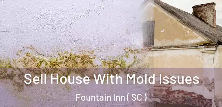  Sell House With Mold Issues Fountain Inn ( SC )