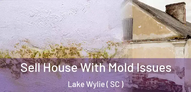  Sell House With Mold Issues Lake Wylie ( SC )