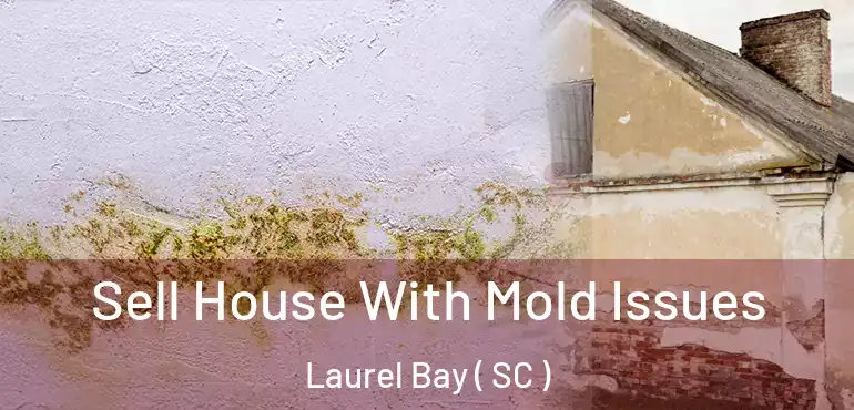  Sell House With Mold Issues Laurel Bay ( SC )