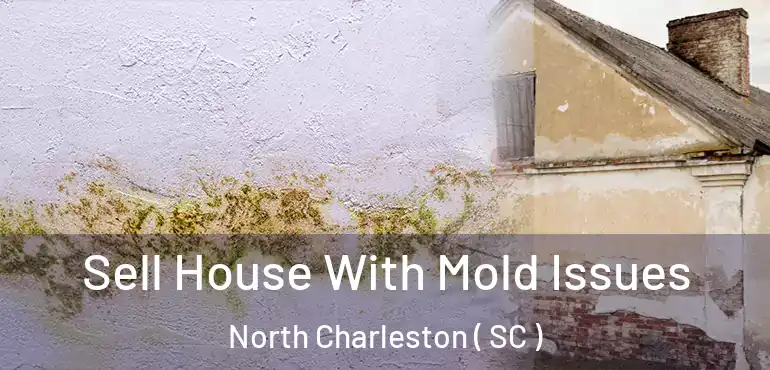  Sell House With Mold Issues North Charleston ( SC )