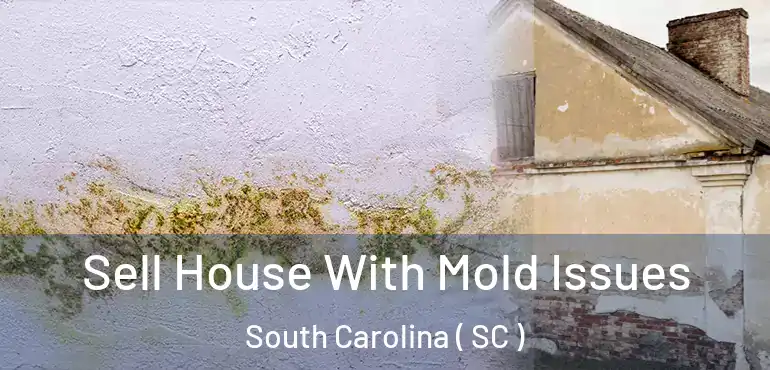  Sell House With Mold Issues South Carolina ( SC )