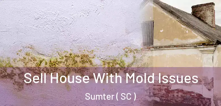 Sell House With Mold Issues Sumter ( SC )