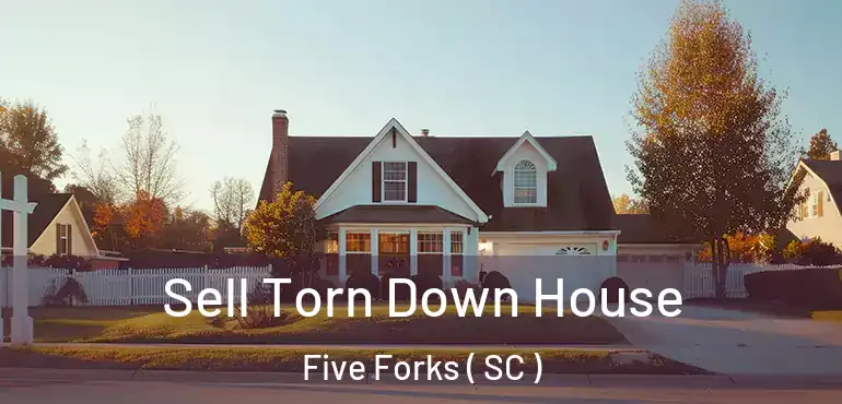  Sell Torn Down House Five Forks ( SC )